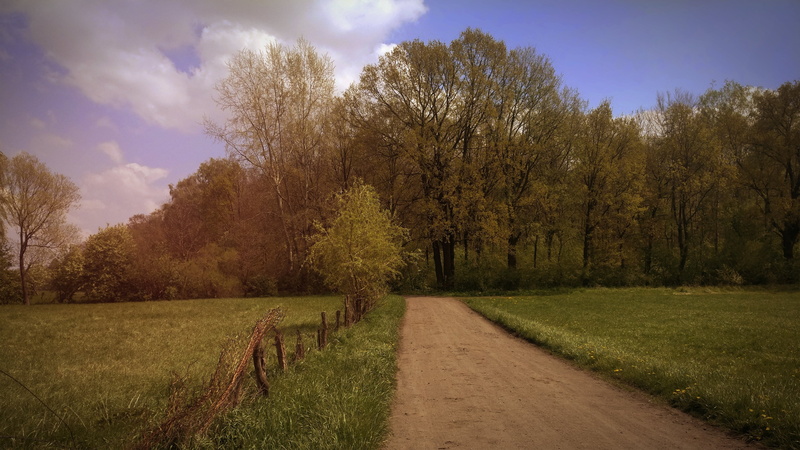 Dirt Road, mario, road, hd, 4K, 3840x2160 px, x, Landscape, video, px, forest, art, dirt, games, Poland, spring
