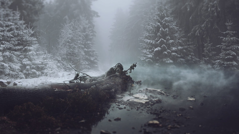 1080P, tree, cold temperature, winter, trees, snow, leafed, plant, mist, fog, green, tranquil scene, tranquility, people, beauty in nature, scenics - nature