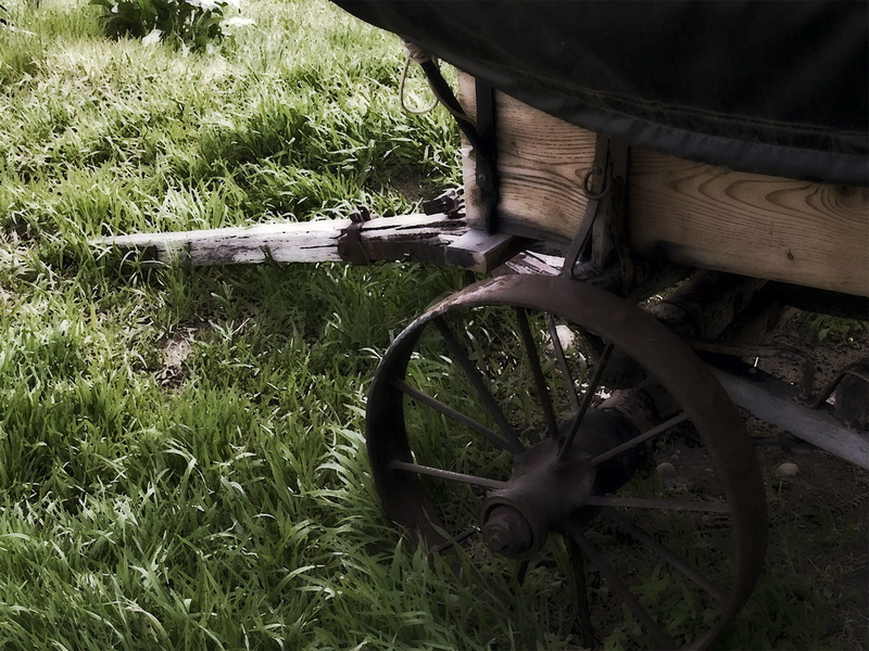 spoke, land vehicle, stationary, Old, abandoned, Wood, Wagon, wheel, no people, western, day, countryside, green color, field, farm, carriage, cart, nature