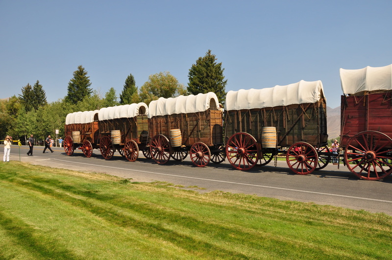 transport, cartwheel, 4K, plant, rural, grass, pioneer, no people, wagon, Wagons, nature, mode of transportation, wooden, green color, road, train - vehicle