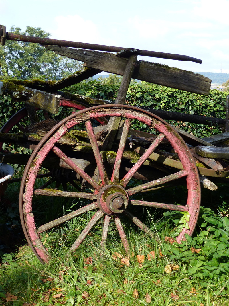 run-down, cart, spoke, 4K, old wagon wheel, outdoors, Wooden, field, Old, antique, damaged, wooden cart, green color, abandoned, Wheel, spoke wheel, no people