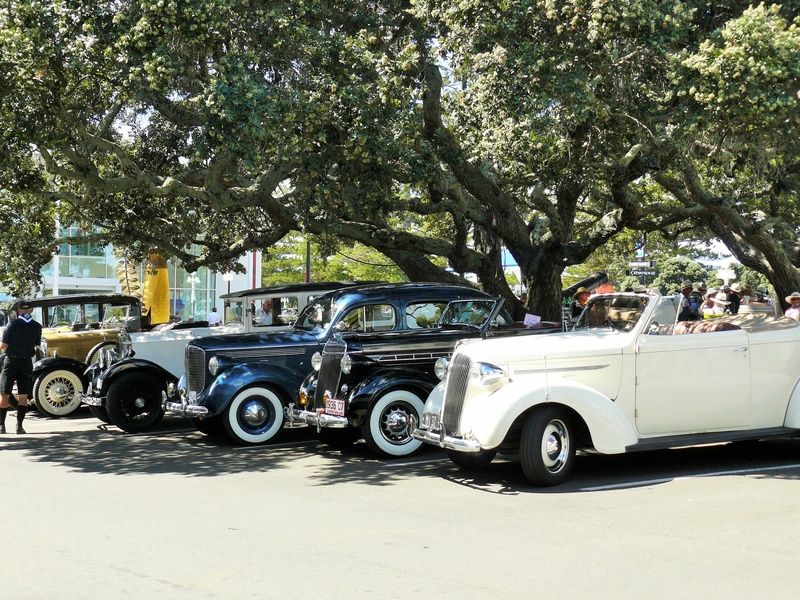 growth, land vehicle, vehicle, deco, history, auto, picnic, motor vehicle, transportation, stationary, antique, road, car, nostalgia, retro, tree, mode of transportation