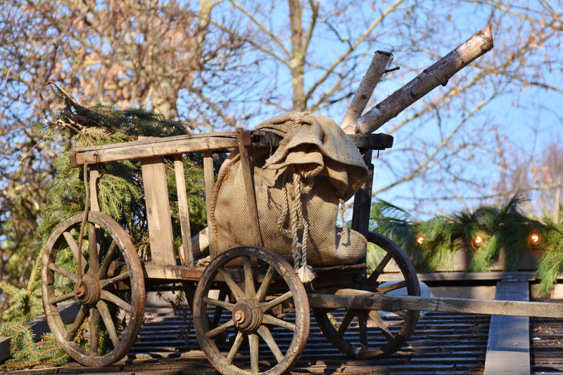 carriage, nature, Spokes, outdoors, Wood, decoration, vertebrate, transportation, one animal, old-fashioned, wheels, animal, old, livestock, Cart, animal wildlife