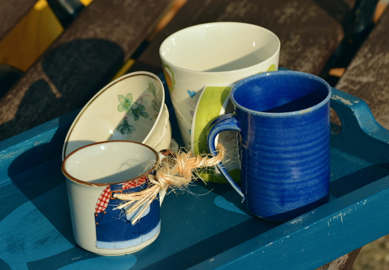 food and drink, potted plant, bowl, close-up, symbolic, table, indoors, color, family therapy, food, ceramic, day, refreshment, together, container, tray