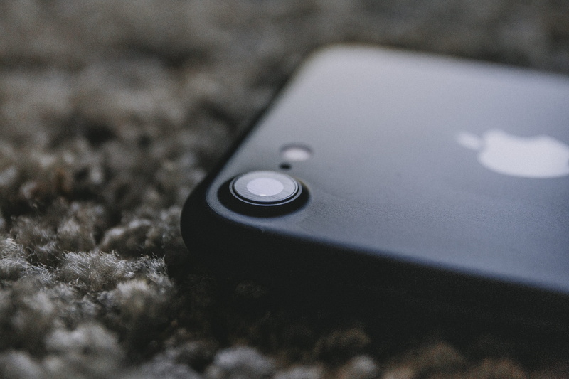 5K, still life, united states, camera, plant, outdoors, selective focus, single object, land, san jose, wireless technology, dof, device, vsco, communication