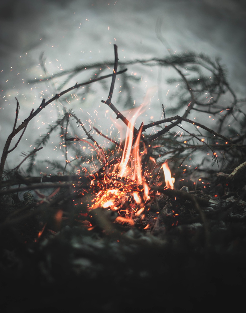 2K, smoke - physical structure, selective, plant, flame, stick, wood, burn, twigs, photography, firewood, orange, wood - material, fire - natural phenomenon