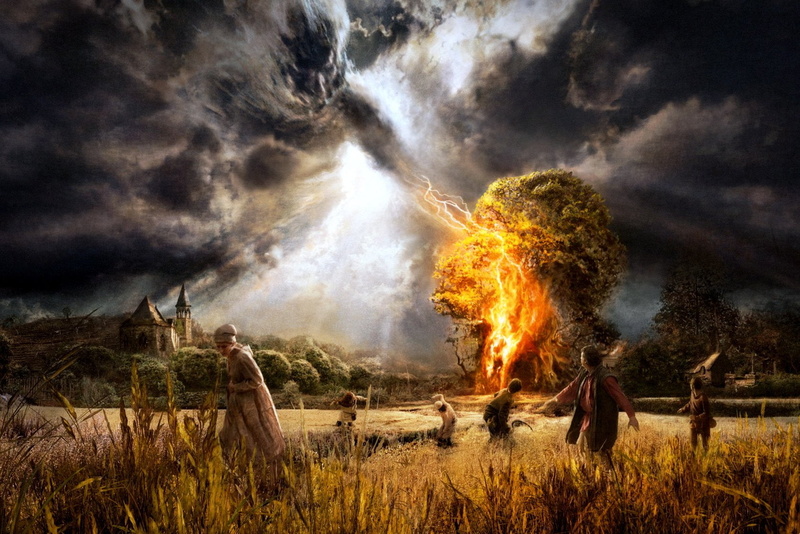 burnt, Cloud, smoke - Physical Structure, exploding, natural Disaster, Smoke, adult, arson, real people, plant, heat - Temperature, forest Fire