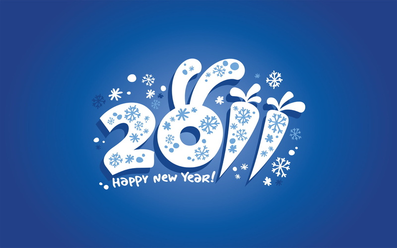 new Years Day, december, event, day, congratulations, backgrounds, new Year, copy space, ears, communication, happy, calendar, design, vector, snowflake