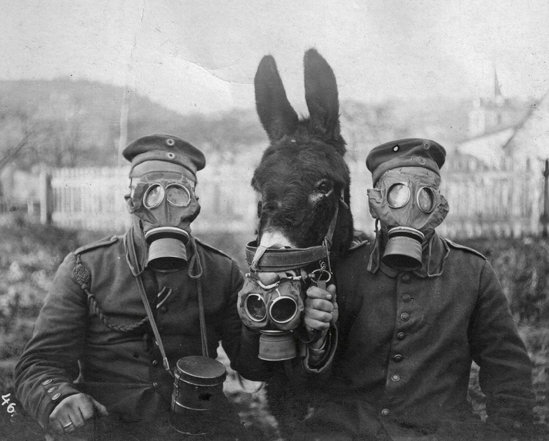 Gas Masks, World War I, 720P