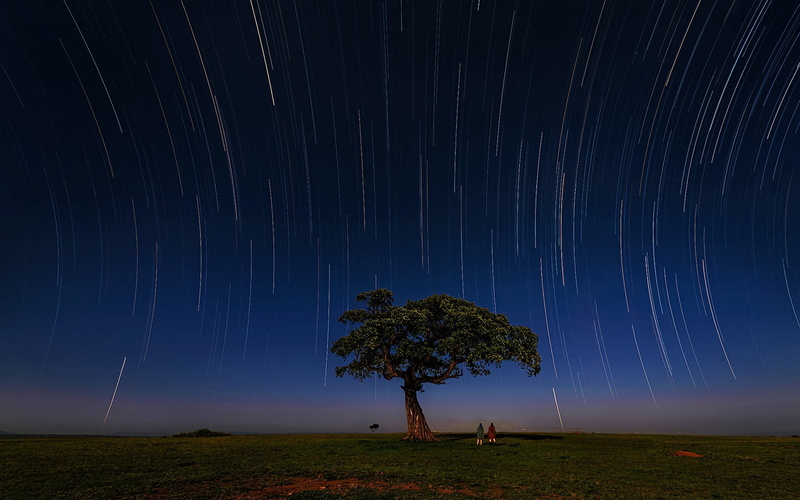 Savannah, tree, Masai, Kenya, 1080P, the equator, stars, equator, Zebra, Hua Zhu