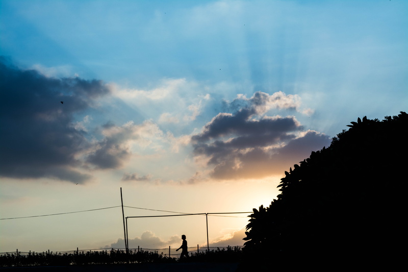 individual, 5K, clouds, dark, scenics - nature, beauty in nature, tree, sunrise, sunset, lonely, tranquil scene, new delhi, idyllic, silhouette, light