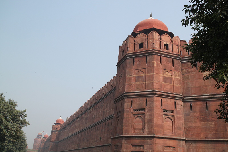 tree, nature, red fort new delhi, wall, unesco, travel destinations, heritage, ceiling, india, ancient, belief, architecture, tourism, clear sky, religion