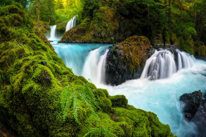 Spirit If, fern, 1080P, stones, moss, the Columbia river gorge, waterfalls, Washington, waterfall, river, Columbia River Gorge, forest, cascade