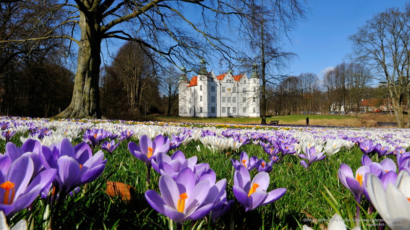 holstein, schleswig, ahrensburg, Architecture, 2K, schloss, castle, germany