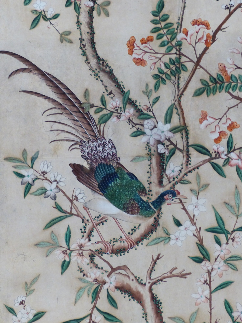 animal, green color, nature, close-up, one animal, hellbrunn, beauty in nature, salzburg, day, floral pattern, animal themes, perching, pheasant, bird
