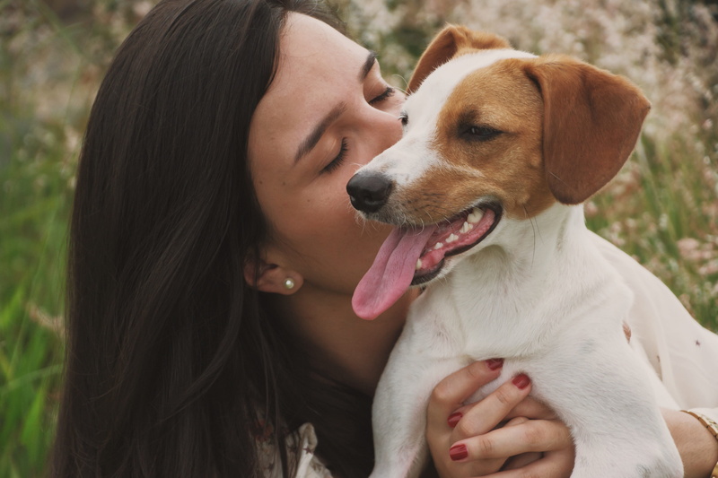 close, looking, animal, focus on foreground, love, kissing, one animal, puppy, close-up, pet, blur, pets, outdoors, person, canine, canidae, fur, adorable