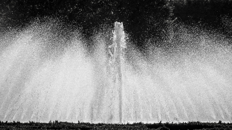 tree, force, falling water, water, splashing, wet, land, forest, long exposure, flowing water, no people, nature, non-urban scene, motion, water pressure