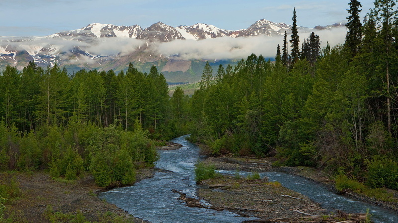 day, flowing, tree, woodland, alberta, park - Man Made Space, autumn, wood, land, tranquil Scene, beauty In Nature, snowcapped mountain, mountain Range