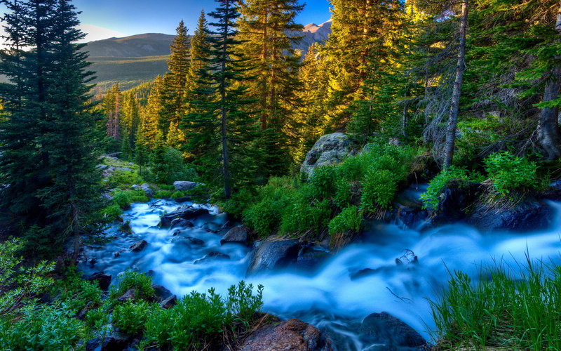mountain, freshness, beauty In Nature, plant, leaf, scenics, current, grass, blurred motion, flowing, travel, 2K, nature, summer, extreme Terrain, autumn