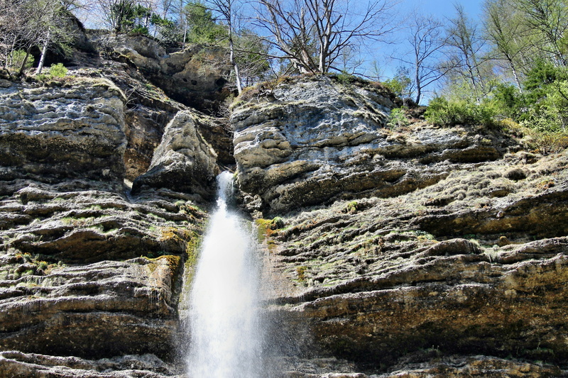 tree, rock formation, power in nature, day, land, scenics - nature, long exposure, flowing, plant, 4K, rock, beauty in nature, falling water, outdoors