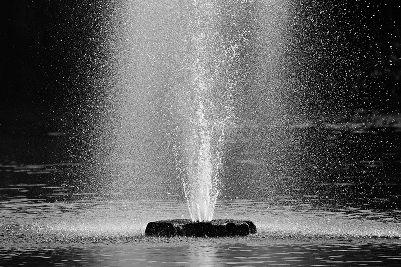 4K, water, animal wildlife, animal, waterfront, drops, sea, splashing, spraying, scenics - nature, spray, fountain, spouting, power in nature, nature