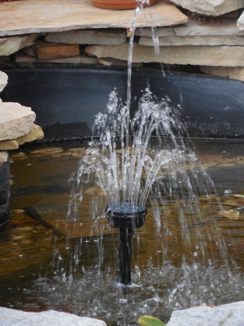 decorative, outdoor, waterfall, day, wet, purity, waterfront, motion, flowing, scenic, running water, blurred motion, lawn, ornamental, falling water, pool