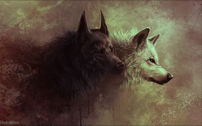 eyes, red, wolfs, 1080P, Red Eyes Wolfs