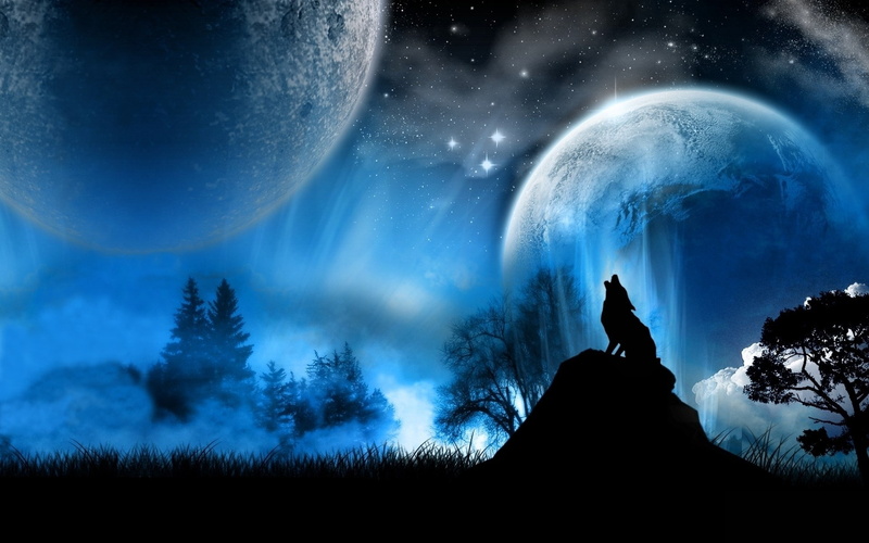space exploration, star - space, beauty in nature, night, land, planet - space, sky, exploration, scenics - nature, silhouette, one person, plant, nature