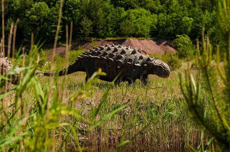fierce, animal themes, one animal, fight, nature, 1080P, forest, park, dinosaur, old, mammal, outdoors, day, no people, animals in the wild, grass, animal wildlife