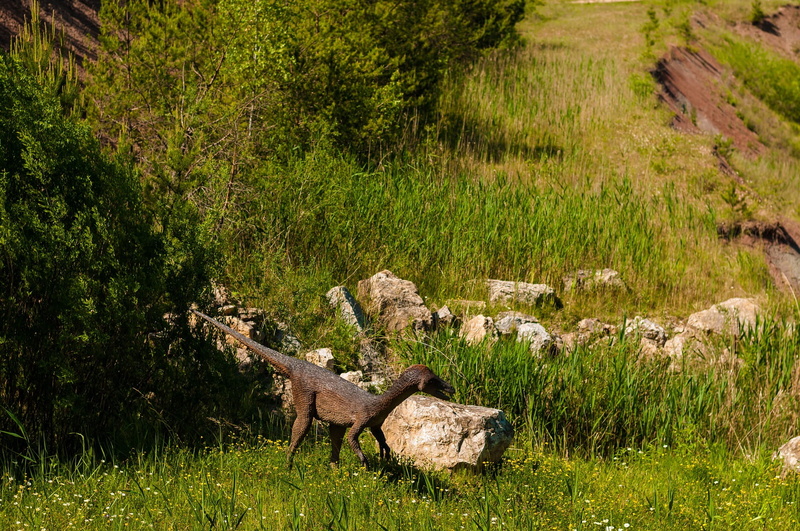 plant, fierce, green color, tranquility, tranquil scene, water, day, beauty in nature, non-urban scene, old, grass, wild, mammal, growth, animal themes