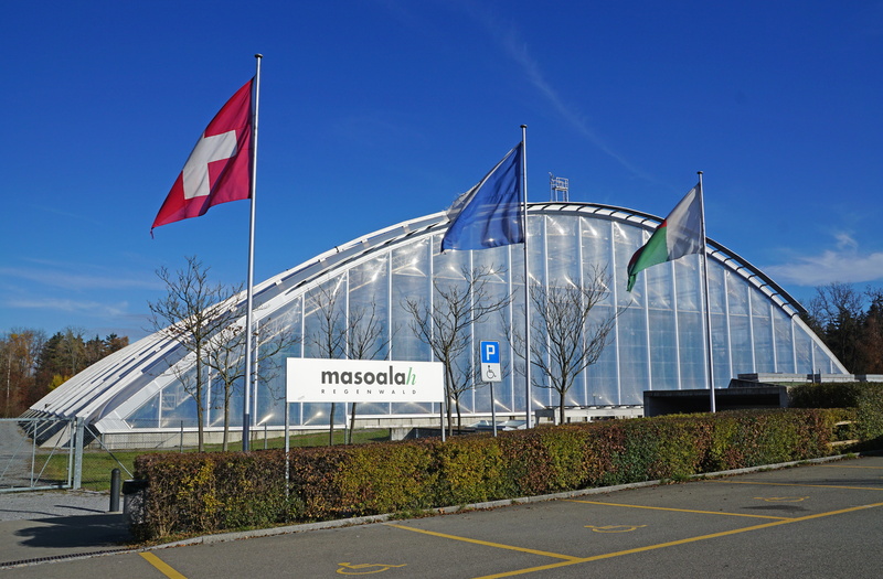 plant, no people, red, zoo, Masoala, transportation, city, built structure, flag, Rainforest, zurich, government, hall, independence, sky, 5K, outdoors