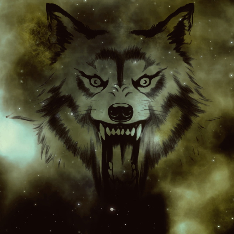 animals in the wild, wolfs head, close-up, animal representation, nature, portrait, creativity, transparent, animal body part, animal wildlife, wolf, no people