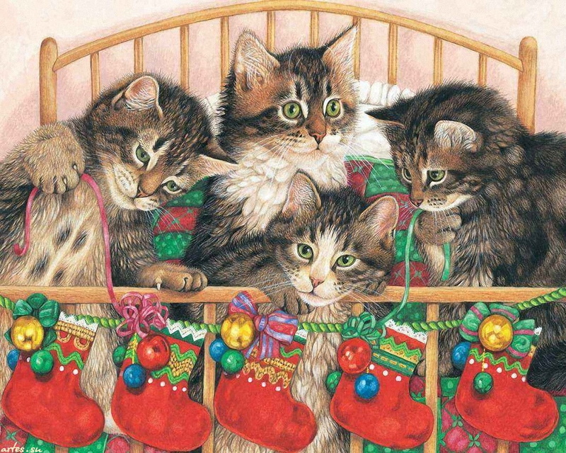 socks, hd, 720P, christmas, ribbon, cat, animals, kitties, pets, bed, time, painting, cats, christmas time, four