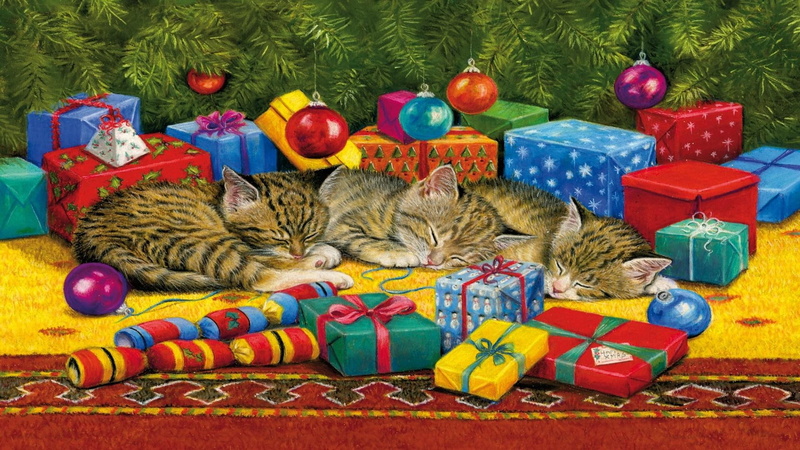 kitten, baubles, sleeping, cat, decorations, cats, kittens, nap, tree, tabby, brown, 1080P, presents, christmas