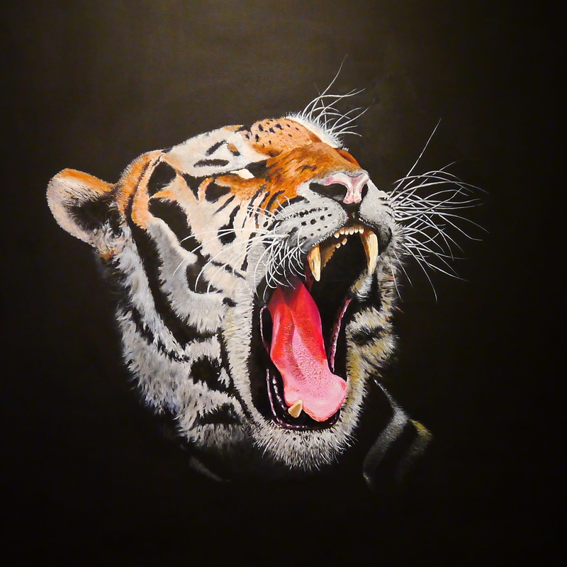 tiger, close-up, animal wildlife, aggression, mouth open, animal themes, acrylic, cat, painted, roaring, animal body part, animal head, black background