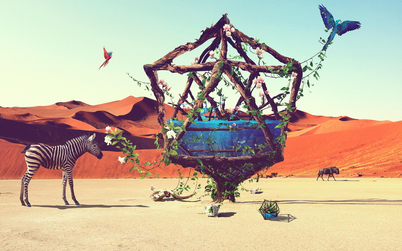 animal, framed, desert, life, art, 2K, outside, brown, enclosure, wooden, graphic