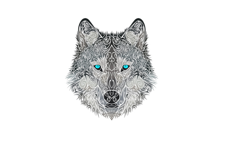 gray, white, indoors, wildlife, cat, domestic, copy space, dog, wolf, animal themes, cut out, purebred Dog, head, fur, no people, illustration, mammal