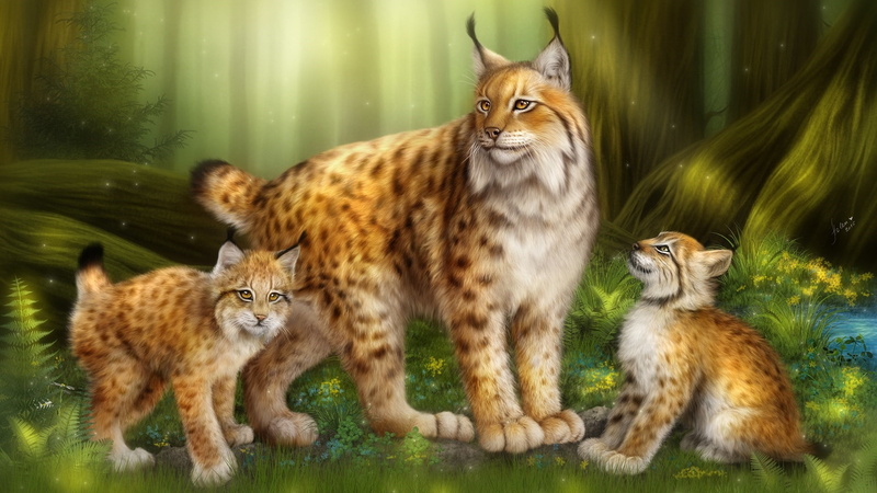 wildlife, whisker, eurasian lynx, bobcat, lynx, looking at camera, day, lynx family, 1080P, domestic cat, cub, outdoors, group of animals, animal wildlife