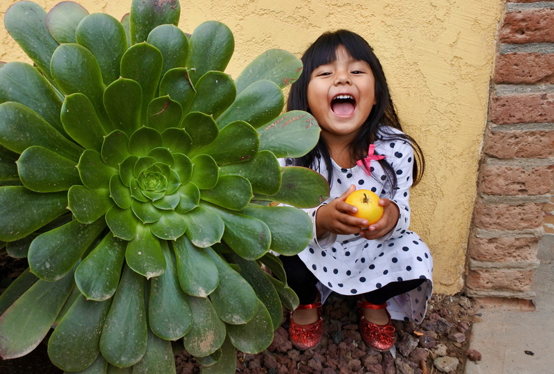 women, innocence, polka dot, females, baja california, girls, front view, child, real people, casual clothing, kid, childhood, mouth open, outdoors, laugh