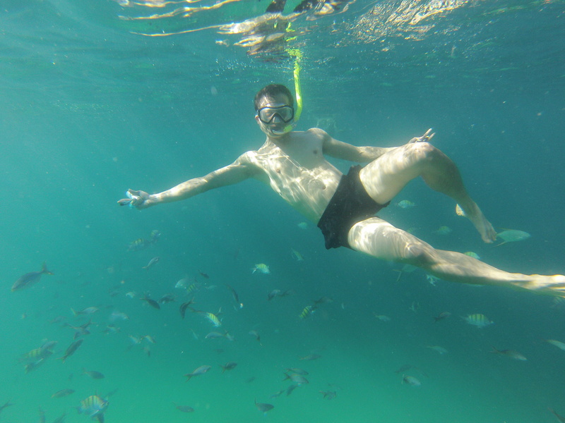 water, nature, undersea, young adult, holiday, women, full length, swimwear, underwater, adult, mexico, fish, vacations, baja california, one person, sea