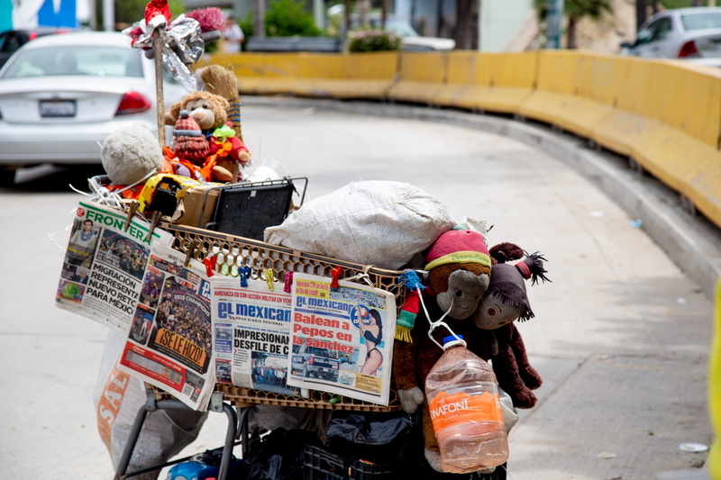toys, trash, vehicle, plant, lifestyles, focus on foreground, car, 5K, shopping car, motor vehicle, bear, one person, transportation, teddy bear, tijuana
