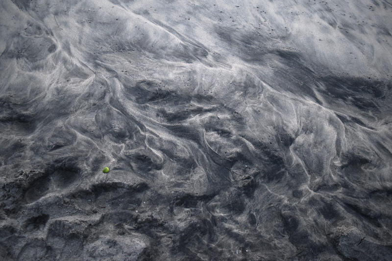 day, outdoors, marine, animal, rock, coho, beach, fish, smoke, gray, no people, textured, beauty in nature, texture, fog, playa, 4K, skin, méxico, sand