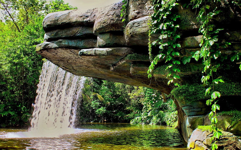 plant, trees, nature, flowing water, solid, motion, stone wall, waterfalls, built structure, outdoors, landscape, growth, 2K, tree, water, old, river
