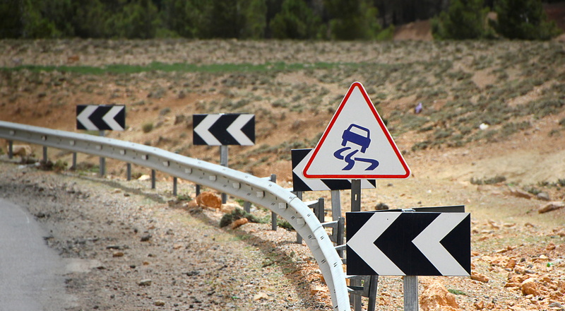 triangle shape, road Sign, animal themes, transportation, street, curve, danger, warning, information, warning signs, road, outdoors, Drive, symbol, warnschild