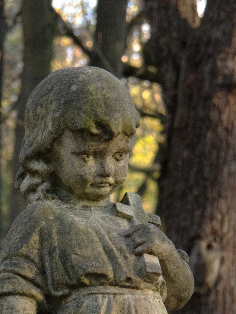 grave, craft, representation, tree, angel, memory, 4K, tombstone, art and craft, focus on foreground, plant, monument, old cemetery, creativity, bereavement