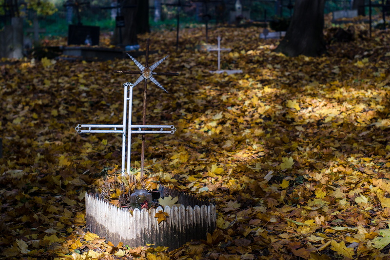 november, stone, religious equipment, cross shape, crucifix, day, sadness, the tomb of, old cemetery, all saints  day, cross, 4K, foliage, religion, symbol