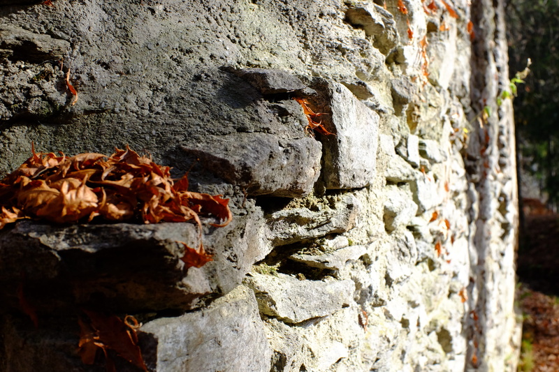 time, animal wildlife, wall - building feature, built structure, rock, animal themes, focus on foreground, close-up, wall, meditation, textured, walls