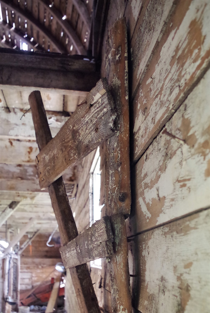 tender loving care, built structure, day, metal, ladder, full frame, industry, adventure, wood - material, old, some, damaged, attic, decline, close-up