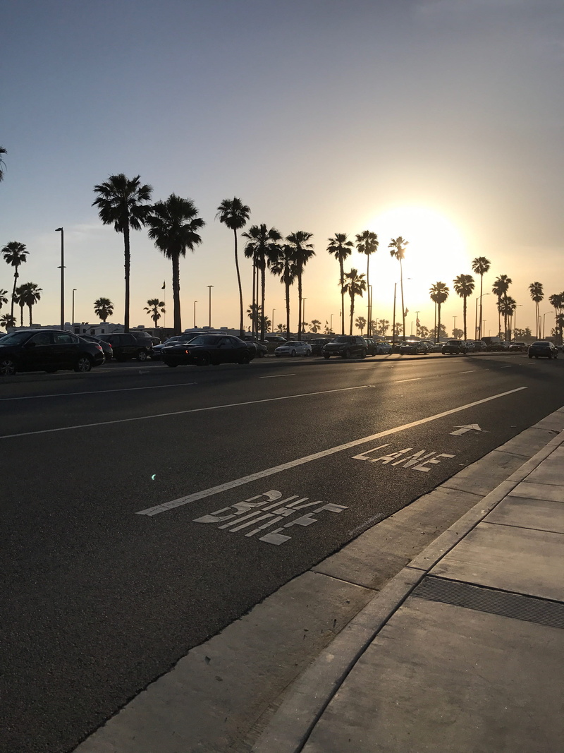 beach, tropical climate, palm trees, hey, land vehicle, road, tree, symbol, direction, sign, car, no people, outdoors, sky, plant, yellow, blue sky, mode of transportation