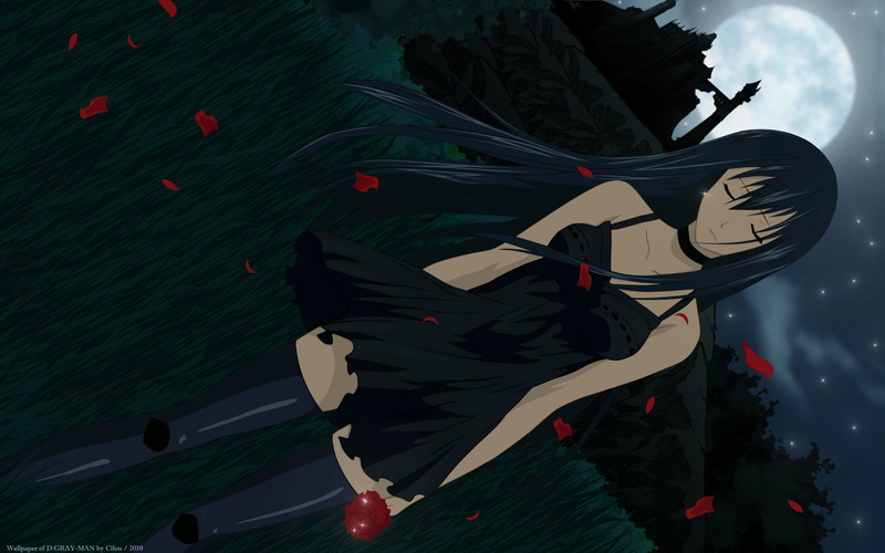 high angle view, D.Gray-man, representation, Lenalee Lee, water, celebration, art and craft, design, animal themes, no people, nature, 1080P, animal, arts culture and entertainment